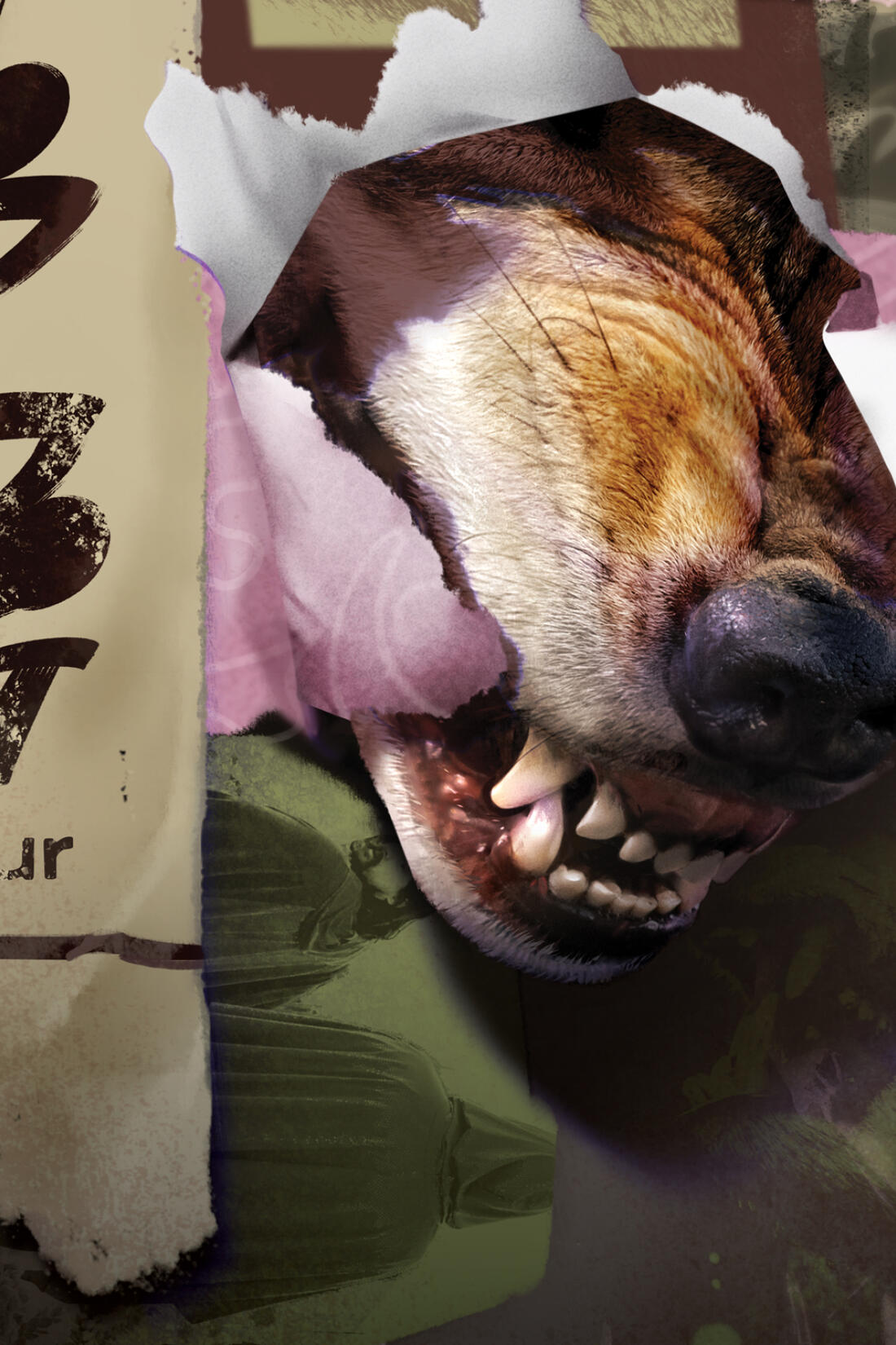 TOP DOG TOUR illustration, branding