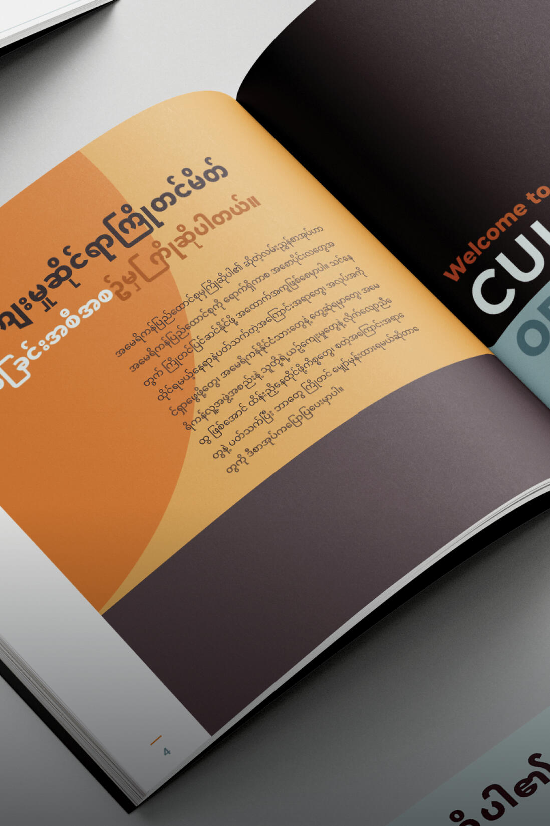 BILINGUAL CULTURAL GUIDE editorial, illustration